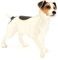 Leonardo Collection Jack Russell Terrier Ornament Hund, Stone, weiß
