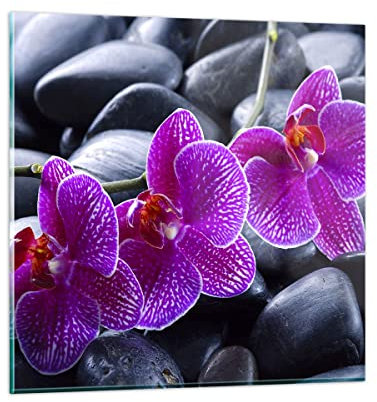 ARTTOR Bilder auf Glas 30x30cm Wandbild Glasdruck Botanik Blumen - 0440