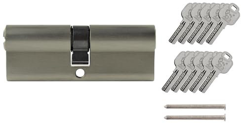 1x Zylinderschloss 100 mm mit 10 Wendeschlüssel für ein Schloss 50x50 mm