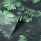 Arthouse Black and Green Fern Wallpaper Smooth Finish Feature Wall