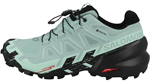 Salomon Herren Speedcross 6 GTX Running Shoes, Grau-Grisaille, 44 2/3 EU