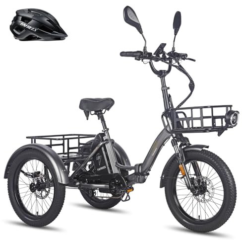 Fafrees F20 Mate E-Bike Dreirad 21Ah/1008Wh Akku Straßenzulässig [ Offiziell ] Ebike Herren 180kg (Straßenzulässig + 23.45AH Akku + Vordere Lastenkorb+kleine hintere Lastenkorb, Grau)
