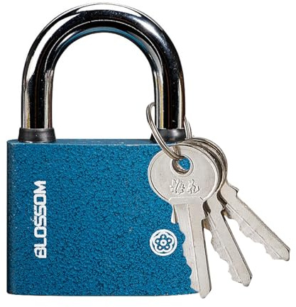 32 MM Padlock with 3 Keys, Heavy Duty Iron Security Lock, Weatherproof Shed Lock for Fence Warehouse Office Outdoor Use Reliable Padlocks