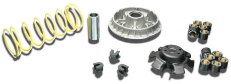 Variateur MALOSSI Multivar, Access Sport/Kymco KXR/MXU/Maxxer/People/xcitingi euro3/Triton Baja, pour QUAD/ATV 250/300 4T, LC 23 x 18 mm, 6 rouleaux, 17 g/20,0g