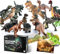 Toy Choi's Dinosaurier Spielzeug – 20 Stück Dinosaurier Figuren Spielset mit Buch, Realistische Plastik Dinosaurier mit Baby Dino Ei Geburtstag Geschenk für Jungen Kinder, Lernspielzeug