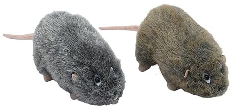 Euro Souvenirs Ratte ca. 20cm, Kuscheltier, Plüschtier, 2er Set