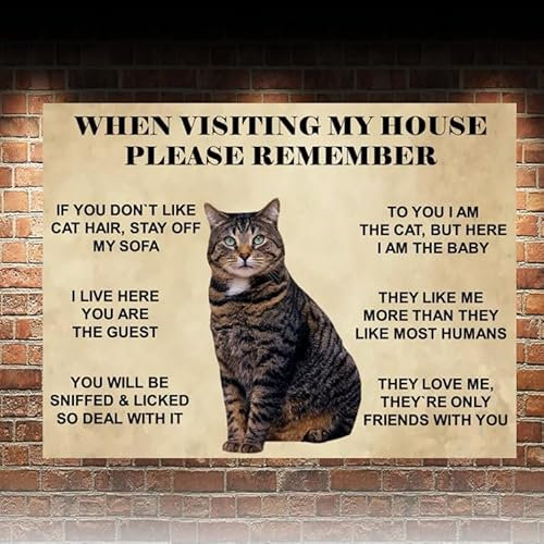 Funny Tabby Cat House Rules Metal wall sign. 20 x 15cm