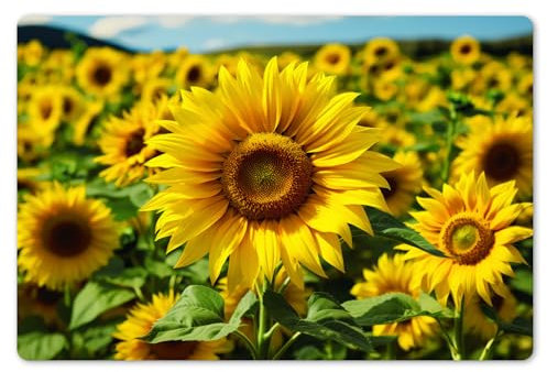 KitchenYeah© Dessous de Plat Set de 6 45x30 cm Set de Table Plastique Rigide Vinyl Antidérapant Original Coloré Plates Tournesol - Jaune - Nature - Fleurs