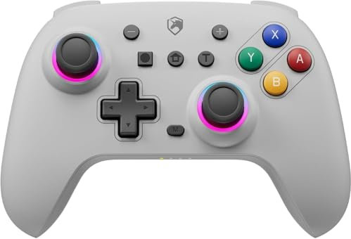ECHTPower Switch Controller für Switch 2/OLED/Lite, Switch Pro Controller, 9 LEDs Wireless Controller für Switch mit Turbo, 6-Achsen, Aufwachen, Gyroskop, SYNC, Makro und Screenshot (Grau)