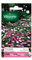 Vilmorin - Sachet graines Ficoïde Tapis magique