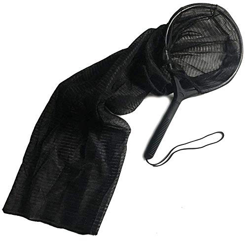 Osaga Épuisette Koikescher - Taille M - 30 x 100 cm - Épuisette de bassin - Tuyau de transfert de poisson - Épuisette koï