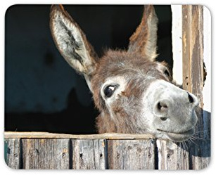 Destination Vinyl Ltd Cheeky Donkey Mouse Mat Pad - Horse Kids Cute Animal PC Computer #8260