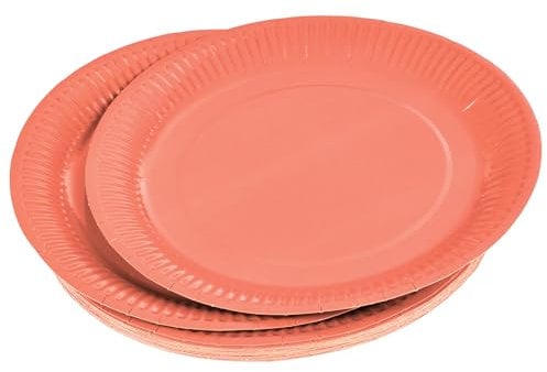 Lot de 20 Assiettes en Carton Vitamine 23cm Terracotta