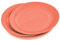 Lot de 20 Assiettes en Carton Vitamine 23cm Terracotta