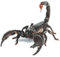 Wudaizhi Autoaufkleber 3D -autoaufkleber Halloween Autoabziehbilder 3D Tieraufkleber Skorpion Vinyl -Aufkleber Für Schlafzimmer Fenster Kühlschrank Toilettenwagenwagen Dekoration