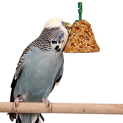 Johnsons Vet Budgie and Parakeet Fruit and Honey Bells