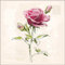 Servietten Blumen 20 Feinste Rose Vintage | basteln Decoupage Tischdeko 33x33cm