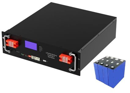 WILLQ 48V 100Ah 5000Wh Lithium LiFePO4 Deep Cycle Wiederaufladbare Batterie 3000 Lebenszyklen mit BMS und LED-Monitor Verwendung für RV Solar Marine Overland Off-Grid-Stromversorgung