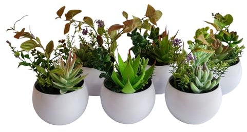 HOMEVID Plantas Artificiales Decorativas en Maceta Plantas pequeñas de plástico sintético para Interiores y Exteriores Pack 6 Unidades para el Hogar Oficina Escritorio Salon baño Cocina Dormitorio