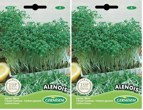 Germisem Alenois Semillas de Berro Jardín 12 g (EC7013) (Paquete de 2)