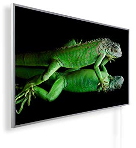 Könighaus Bildheizung 600 W - Smart Thermostat - 8-16 m² | Schwarz-Weiß-Bilder, Motiv: 87. Chameleon, TÜV SÜD, 5 Jahre Garantie, doppelter Überhitzungsschutz, Wandheizung