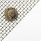 The Mesh Company Stainless Steel Wire Mesh Quality Metal Mesh Heavy Duty & Fine Wire Mesh For DIY & Filter Applications (4mm Hole 500 x 500mm Sheet)