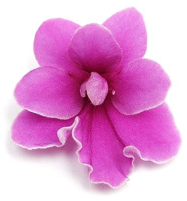 200 pcs veilchen samen - kräutergarten geschenk wiesensaatgut gartensamen usambaraveilchen,Matthiola incana,Violette blumenwiese samen mehrjährig winterhart zimmerpflanzen wenig lichtbedarf
