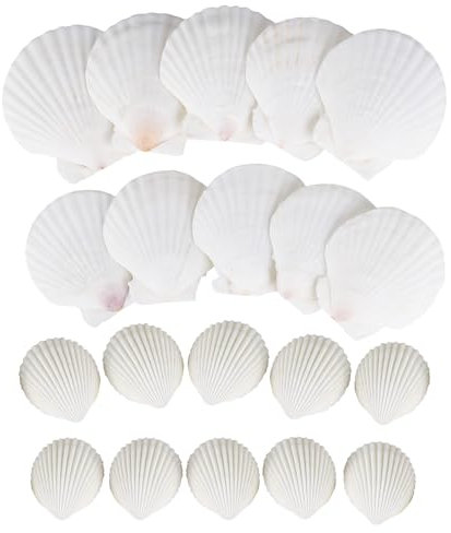 XTDMJ Muscheln Natürliche Muschelschalen Jakobsmuscheln, Deko Muscheln Muscheln zum Basteln, DIY Kreative Muschelschalen Malset als Vasenfüller für Aquarien