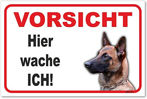 AdriLeo Schild - Vorsicht Malinois - Hier wache ich - (20x30cm) / Achtung Hund Wachhund robust langlebig UV-beständig wetterfestes Warnschild