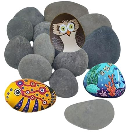 KLLJ Galets a Peindre,10pcs Pierres Plates à Peindre,Bricolage Créatif Cailloux,DIY Peintes Rocher,Galets Naturels,Galets Décoratifs Ronds,Galets Peints à Main pour Dessin Peintes