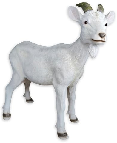 colourliving Ziegenbock Figur „Bruce“ – realistische Ziegenfigur, handbemalt, Gartenfigur Ziege für innen & außen, Zwei Größen (groß & klein), DREI Farben (Weiß, Groß)