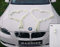 ORCHIDEEN Herzen Braut Paar Rose Deko Dekoration Hochzeit Car Auto Wedding ®Auto-schmuck Deko Girlande PKW (Ecru)