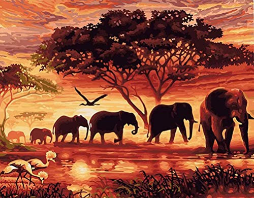 Amiiba Kit de peinture par numéros - Éléphant de savane africaine - Arbre de vie - Paysage du coucher de soleil - 40,6 x 50,8 cm - Peinture acrylique par numéro - Éléphant - Sans cadre