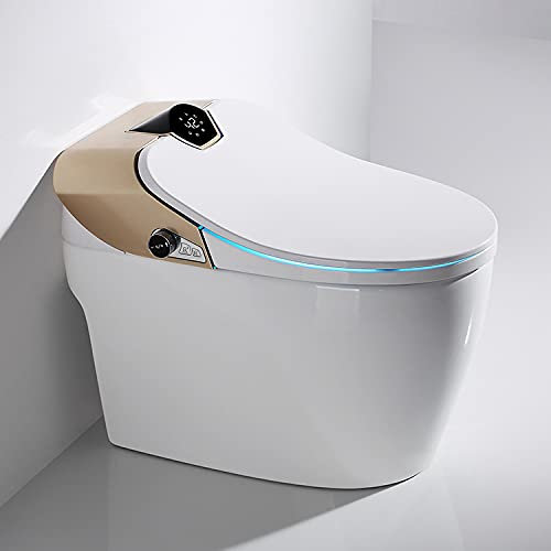 Moderne japanische Samurai Toilette