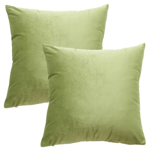 GONOVE Kissenbezug 40x40cm Dekorative Wurf Kissenbezug 2er Set Samt Weiche Kissenbezüge Dekokissenbezug Sofakissen Couchkissen Kissenhülle für Wohnzimmer Sofa Schlafzimmer