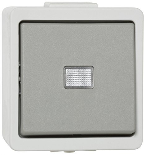 Globe Warehouse Vedder AP/FR Taster, IP44, grau