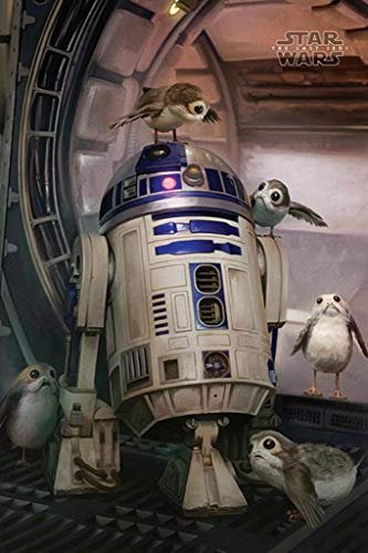Posters 34243 R2d2 & Porgs