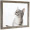 myposterframe Komfort Juno 35 x 50 cm Rahmen Wildeiche