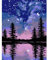 Viart Malen Nach Zahlen Sternenklarer Himmel-Malen nach Zahlen Erwachsene,Sternenklare Nacht Paint by Numbers Adult für Home Wand Dekor 30x40cm