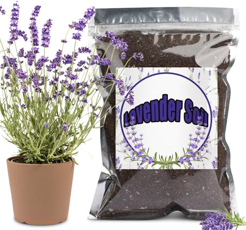 Premium Lavendel-Pflanzmischung, fördert die Lavendelblüte, perfekt für den Innen- und Außenbereich (2L)