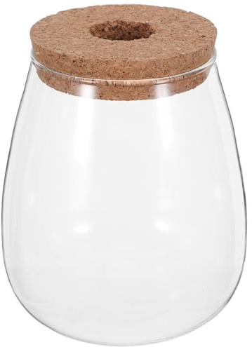 VICASKY Vases en Verre Hydroponique et Décoration Intérieure Lot de 2 avec Bouchon en Liège et Plateau en Bambou, Récipient pour Propagation de Plantes