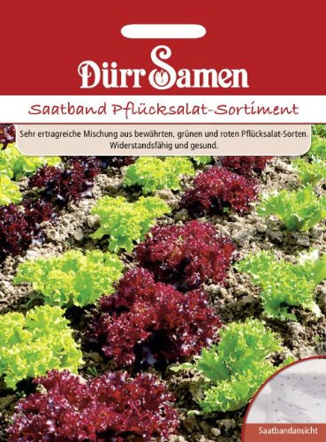 Dürr Samen 1214 Pflücksalat Sortiment Saatband (Pflücksalatsamen)