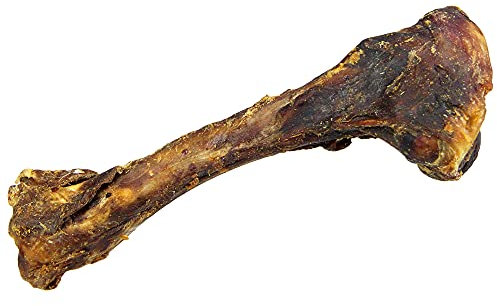 Schecker Hundeknochen - Knochen vom Wildschwein 1 Stück a 16-25 cm Länge - Kauknochen