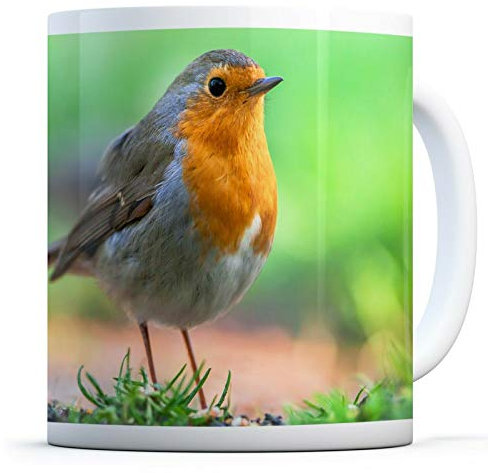 #15509 Tasse mit Rotkehlchen-Motiv, für Küche, Geburtstag, Büro, lustiges Geschenk