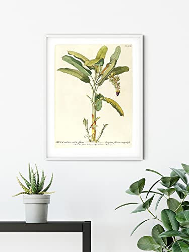 Komar Wandbild - Rainforest Sapling - Größe: 30 x 40 cm - Poster, Kunstdruck, Dekoration, Wohnzimmer, Schlafzimmer (ohne Rahmen)
