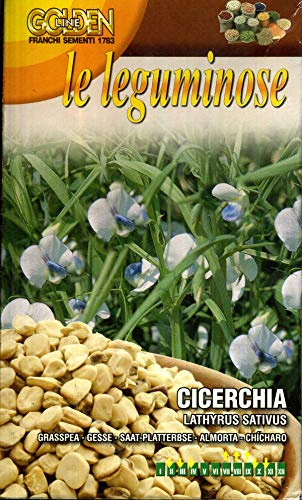 Franchi sementi CICERCHIA DA SEMINA IN CONFEZIONE DA 100 GRAMMI