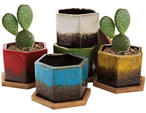 TOPZEA Set of 5 Succulent Planter Pots, 4.2 Inch Hexagon Glazed Ceramic Small Cactus Pot, Geometric Mini Flower Plant Container with Drainage Hole & Bamboo Tray for Home, Office, Windowsill, Desk