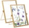 Bilderrahmen Glasrahmen für Gepresste Blumen 15 X 20 cm, 2er Doppelseitiger Fotorahmen, Bilderrahmen Gold Metall Desktop Fotorahmen, Getrockneter Blumen Artwork Bild Display Halter