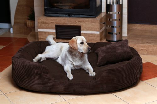 tierlando® Philip Soft Cord Hundebett aus edlem Cord-Velours-Mix mit bequemer 4-Kammer-Matratze, pflegeleichtem Bezug und Stabiler Polsterung Größe: 140x100cm | Farbe: 01 Braun