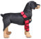 PETCUTE Hunde gelenkschutz Sprunggelenk Wrap Hunde Bandage Gelenkbandage für das Vorderbein ihres Hundes (1 Paar)